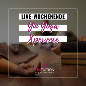 Yin Yoga Xperience - Präsenz Wochenende