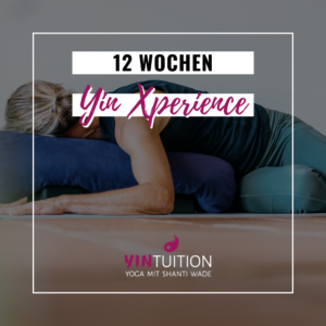 12 Wochen Yin Xperience Online Kurs