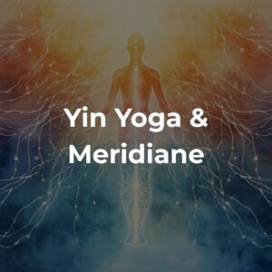Yin Yoga und Meridiane