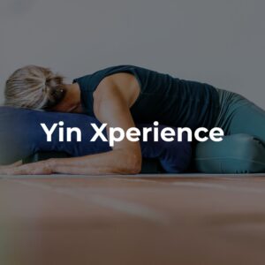 12 Wochen Yin Yoga Xperience Online Reihe