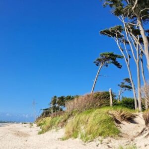 Yin & Yang Yogawoche an der Ostsee